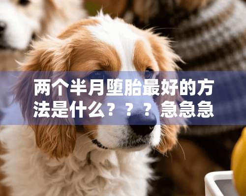 两个半月堕胎最好的方法是什么？？？急急急！！！！！！！！！！！！！！！