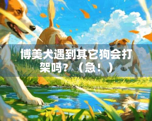 博美犬遇到其它狗会打架吗？（急！）