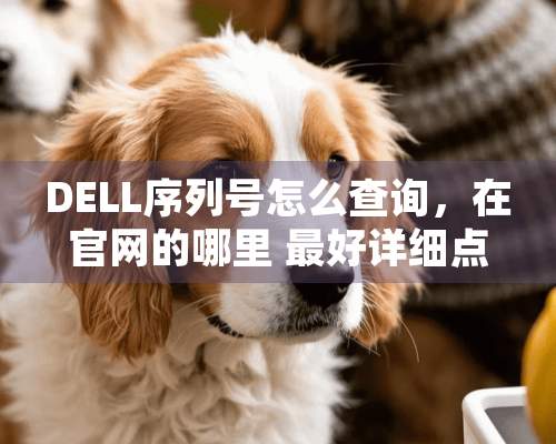 DELL序列号怎么查询，在官网的哪里 最好详细点