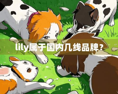 lily属于国内几线品牌？