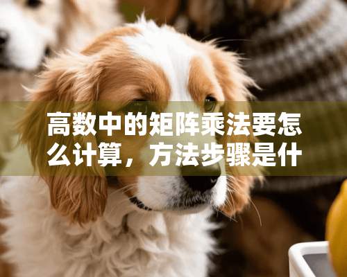 高数中的矩阵乘法要怎么计算，方法步骤是什么？