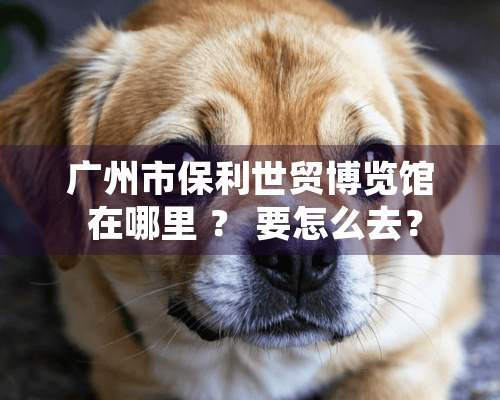 广州市保利世贸博览馆 在哪里 ？ 要怎么去？