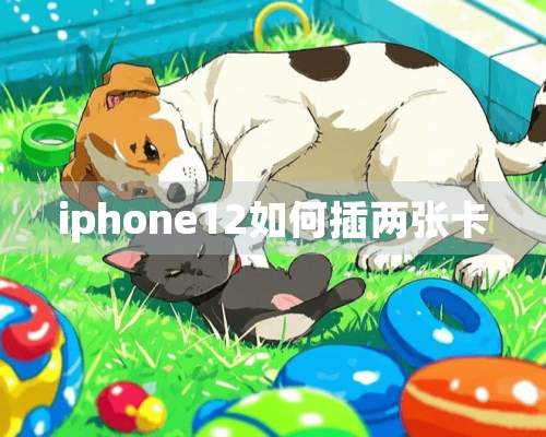 iphone12如何插两张卡