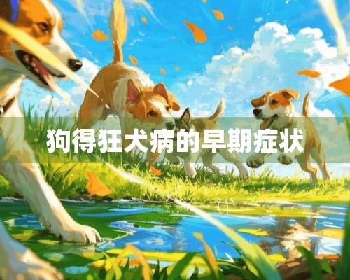 狗得狂犬病的早期症状