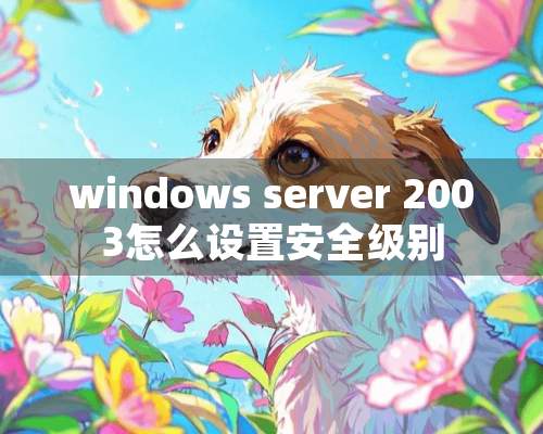 windows server 2003怎么设置安全级别