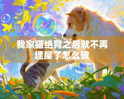 我家猫绝育之后就不再埋屎了怎么破