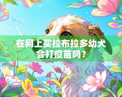 在网上买拉布拉多幼犬会打**吗？