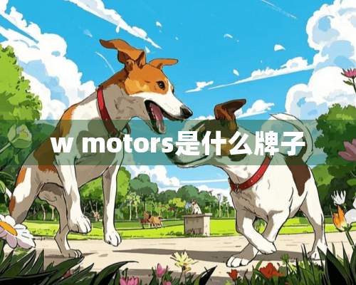 w motors是什么牌子