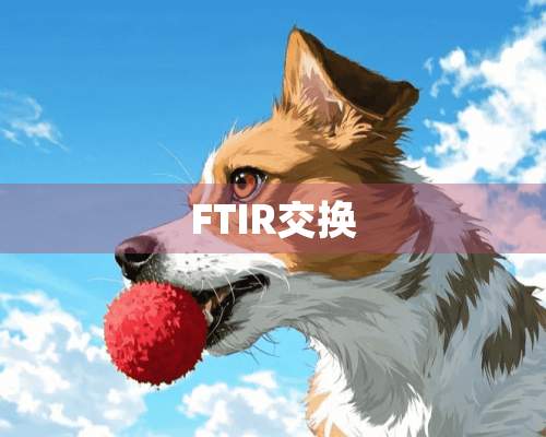 FTIR交换