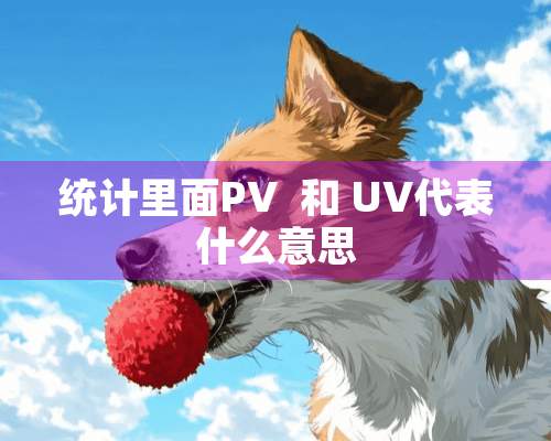 统计里面PV  和 UV代表什么意思