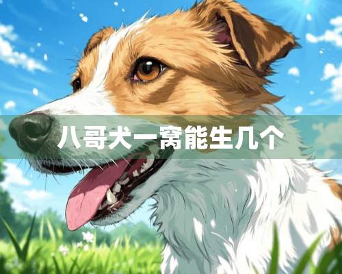 八哥犬一窝能生几个