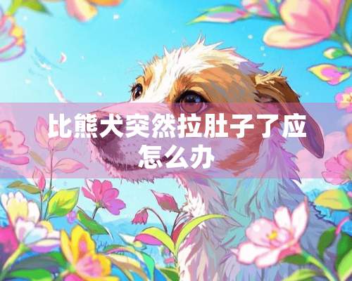 比熊犬突然拉肚子了应怎么办