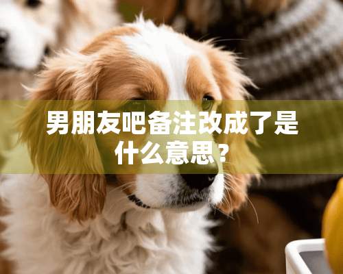 男朋友吧备注改成了是什么意思？