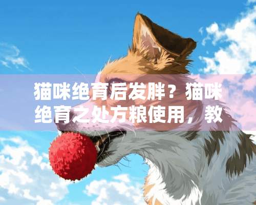 猫咪绝育后发胖？猫咪绝育之处方粮使用，教你如何预防猫咪发胖！