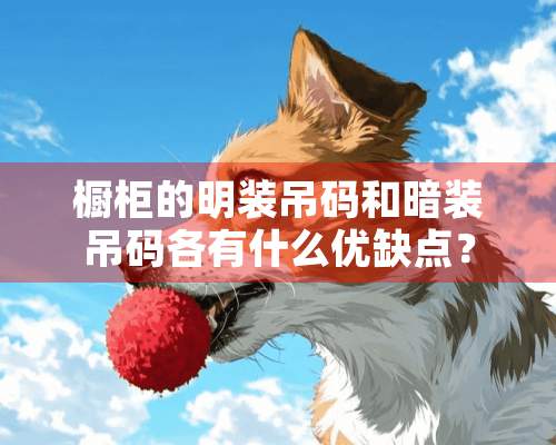 橱柜的明装吊码和暗装吊码各有什么优缺点？