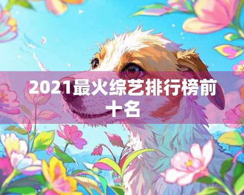 2021最火综艺排行榜前十名