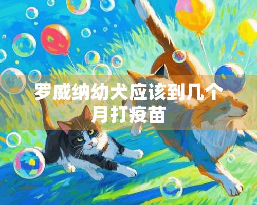 罗威纳幼犬应该到几个月打**