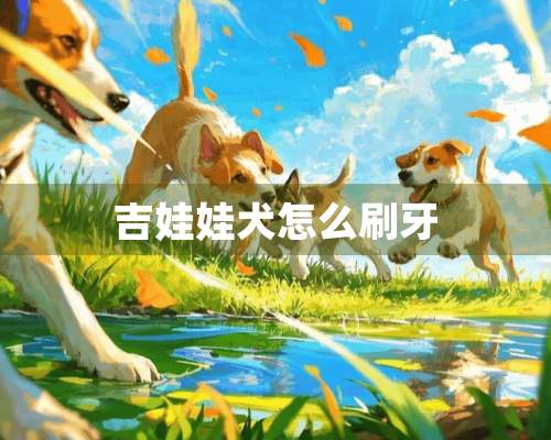 吉娃娃犬怎么刷牙