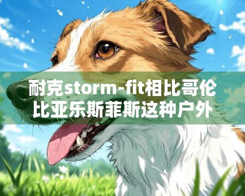 耐克storm-fit相比哥伦比亚乐斯菲斯这种户外品牌的冲锋裤，差距大吗？