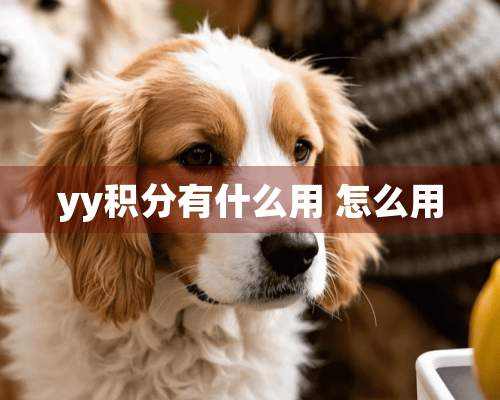 yy积分有什么用 怎么用