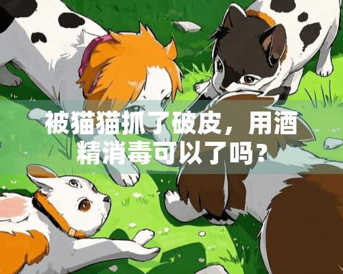 被猫猫抓了破皮，用酒精消毒可以了吗？