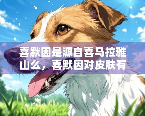 喜默因是源自喜马拉雅山么，喜默因对皮肤有什么作用呢？