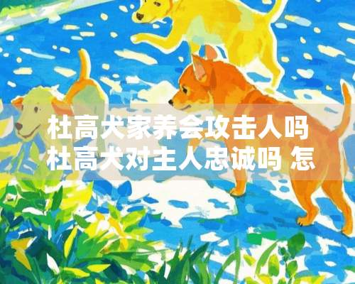 杜高犬家养会攻击人吗 杜高犬对主人忠诚吗 怎么喂养