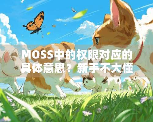 MOSS中的权限对应的具体意思？新手不大懂！