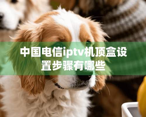 中国电信iptv机顶盒设置步骤有哪些