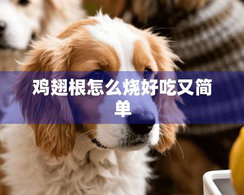 鸡翅根怎么烧好吃又简单