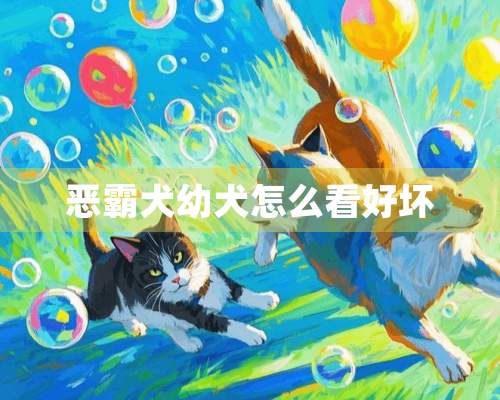 恶霸犬幼犬怎么看好坏