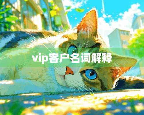 vip客户名词解释