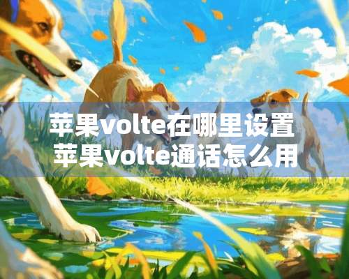 苹果volte在哪里设置 苹果volte通话怎么用