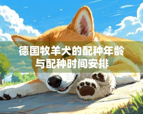 德国牧羊犬的配种年龄与配种时间安排