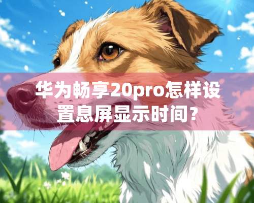 华为畅享20pro怎样设置息屏显示时间？