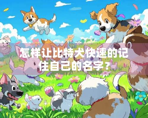 怎样让比特犬快速的记住自己的名字？