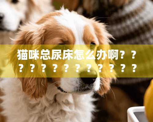 猫咪总尿床怎么办啊？？？？？？？？？？？？？？？、、