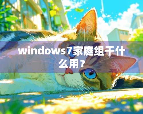 windows7家庭组干什么用？