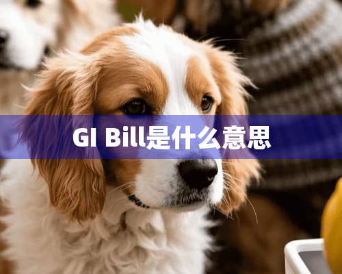 GI Bill是什么意思