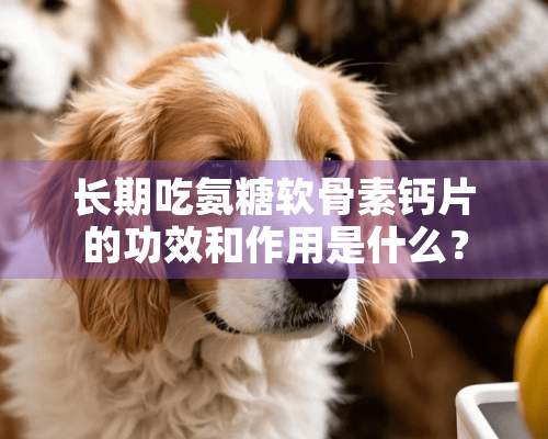 长期吃氨糖软骨素钙片的功效和作用是什么？