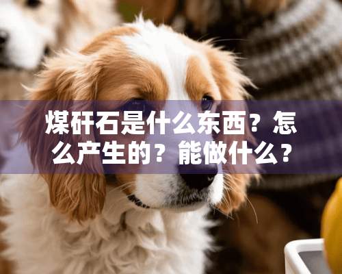 煤矸石是什么东西？怎么产生的？能做什么？