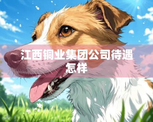 江西铜业集团公司待遇怎样