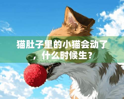 猫肚子里的小猫会动了，什么时候生？