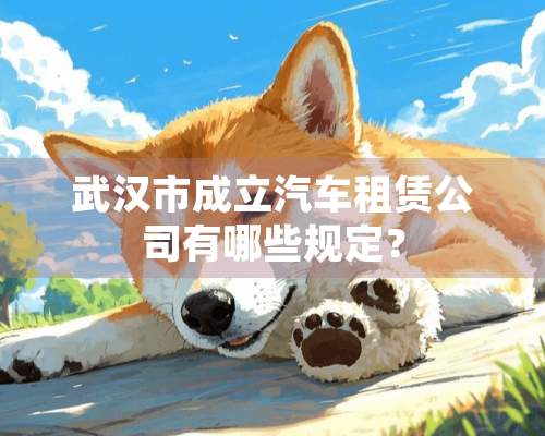 武汉市成立汽车租赁公司有哪些规定？