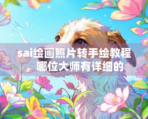 sai绘画照片转手绘教程，哪位大师有详细的