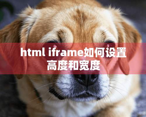 html iframe如何设置高度和宽度