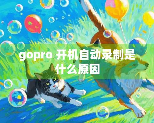 gopro 开机自动录制是什么原因