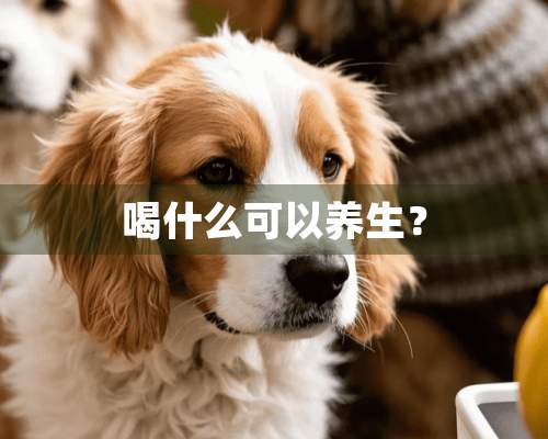 喝什么可以养生？