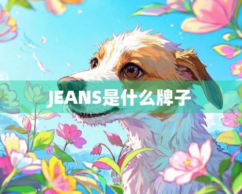 JEANS是什么牌子