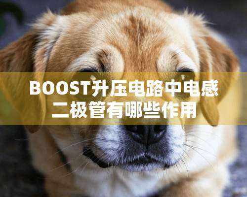 BOOST升压电路中电感二极管有哪些作用